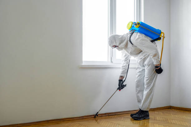 Best Real Estate Pest Inspections  in Canal Winchester, OH